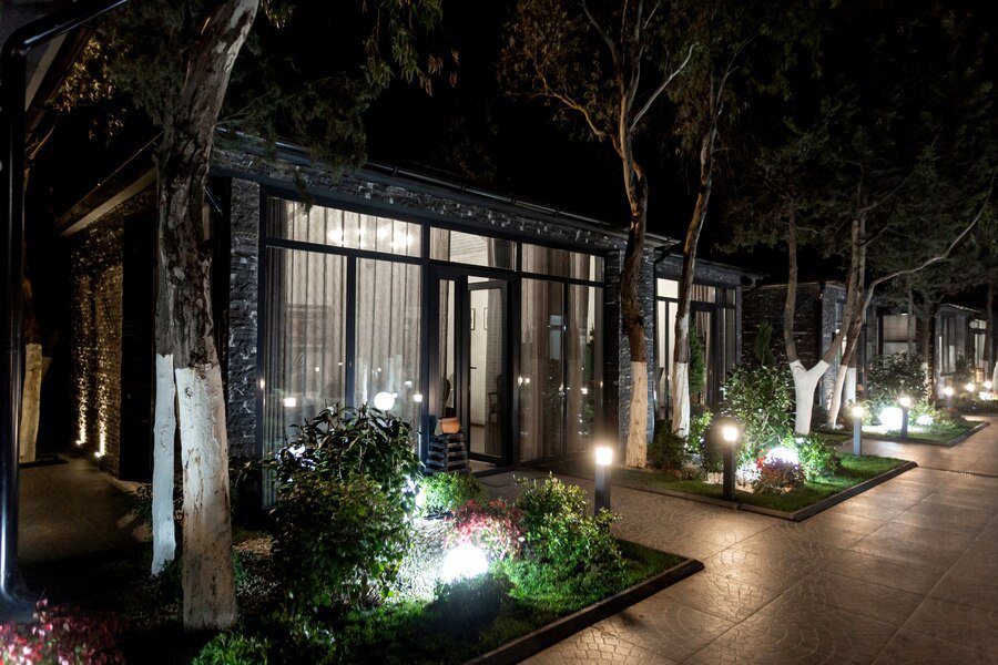 Brighten Your Yard with Solar-Powered Garden Lights